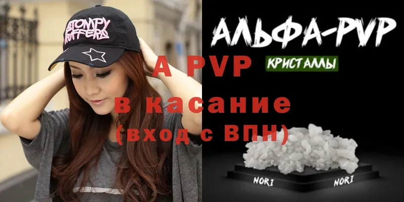 A PVP СК КРИС  Карачаевск 