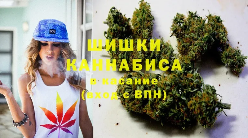 Шишки марихуана White Widow  blacksprut маркетплейс  Карачаевск  купить наркотик 